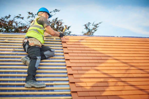 Best Roof Ventilation Installation  in Radford, VA